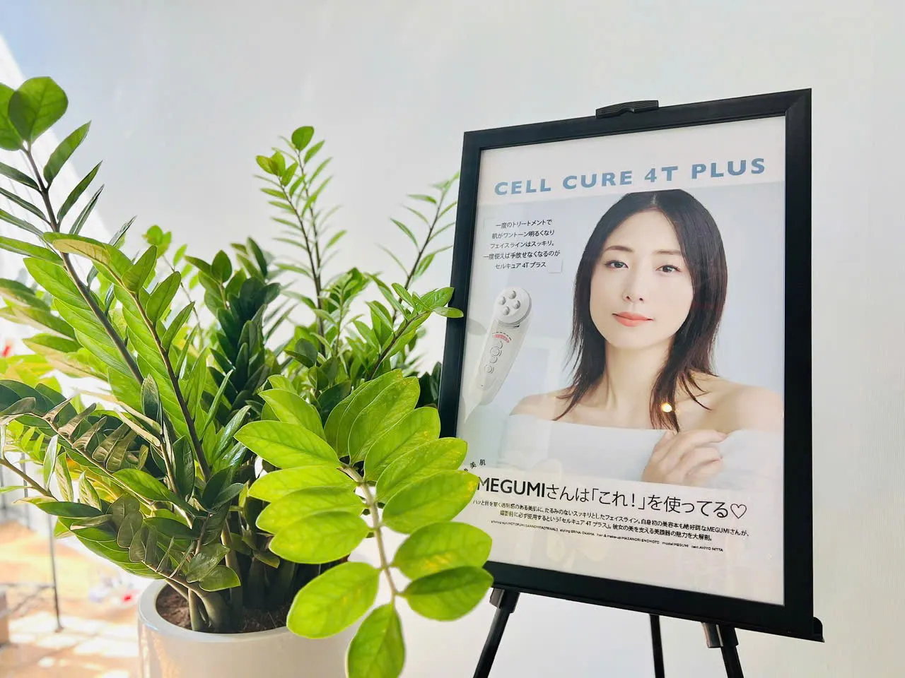 Sustainable Beauty from Within